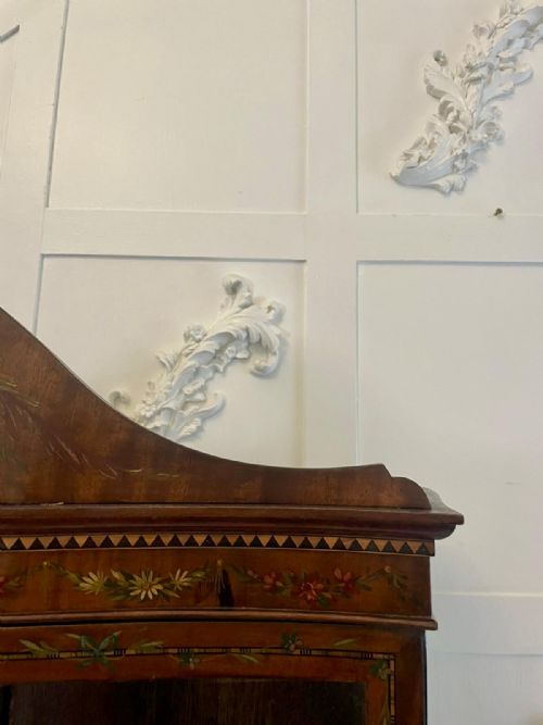 ANTIQUE VICTORIAN QUALITY MAHOGANY DISPLAY CABINET WITH ORIGINAL PAINTED DECORATION - ADDITIONAL PHOTO 19