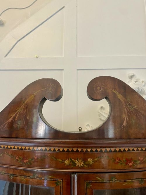 ANTIQUE VICTORIAN QUALITY MAHOGANY DISPLAY CABINET WITH ORIGINAL PAINTED DECORATION - ADDITIONAL PHOTO 21