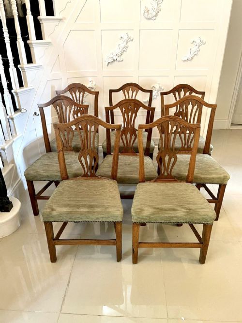 ANTIQUE 18TH CENTURY SET OF EIGHT GEORGE III HEPPLEWHITE OAK DINING CHAIRS - ADDITIONAL PHOTO 1