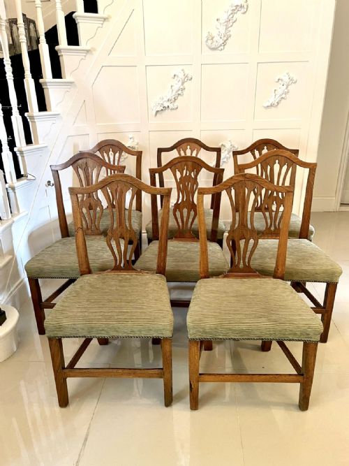 ANTIQUE 18TH CENTURY SET OF EIGHT GEORGE III HEPPLEWHITE OAK DINING CHAIRS - ADDITIONAL PHOTO 4