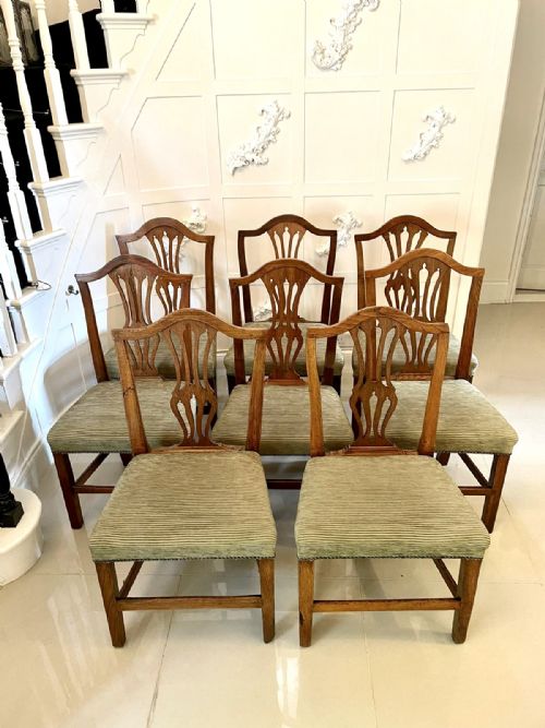 ANTIQUE 18TH CENTURY SET OF EIGHT GEORGE III HEPPLEWHITE OAK DINING CHAIRS - ADDITIONAL PHOTO 6
