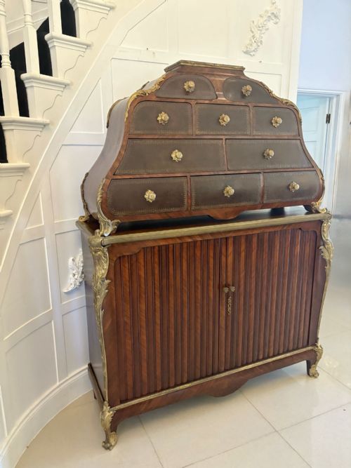 SUPERB QUALITY 19TH CENTURY ANTIQUE FRENCH KINGWOOD AND ORMOLU MOUNTED CARTONNIER CABINET - ADDITIONAL PHOTO 7