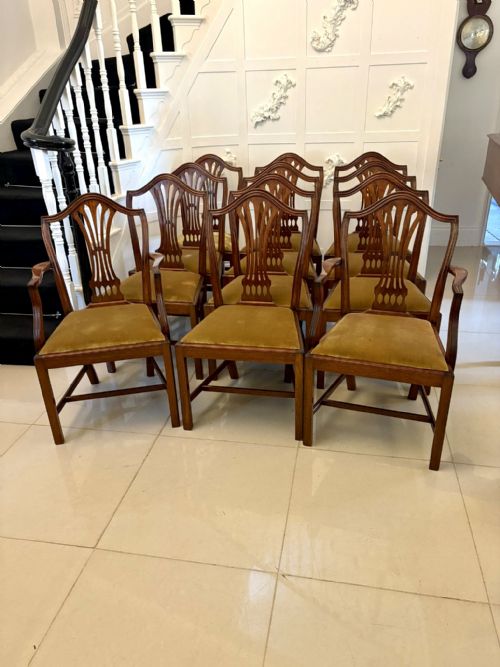 QUALITY SET OF 12 ANTIQUE MAHOGANY HEPPLEWHITE STYLE DINING CHAIRS