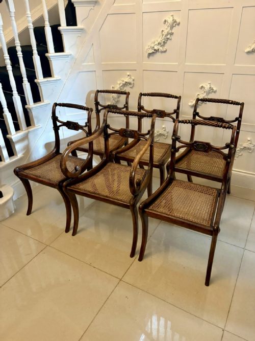 ANTIQUE REGENCY MAHOGANY DINING CHAIRS SET OF SIX WITH CANE SEATS FIVE SINGLES ONE CARVER