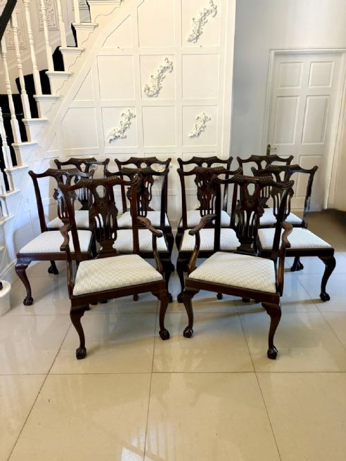ANTIQUE SET OF 10 IRISH MID 19TH CENTURY CARVED MAHOGANY DINING CHAIRS CARVERS BALL CLAW FEET