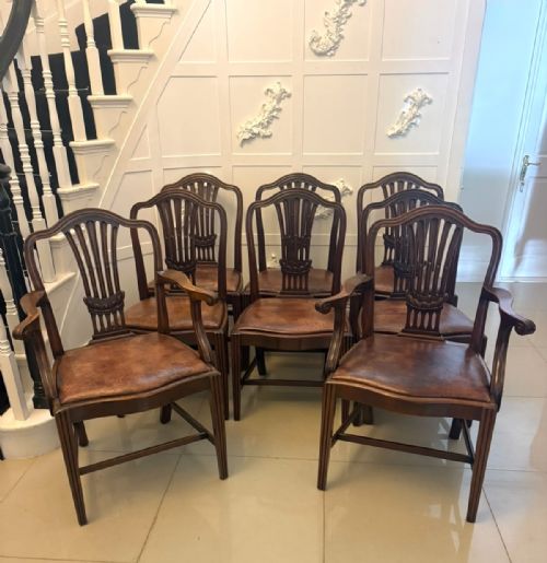 Antique Set of 8 Victorian Mahogany Shield Back Hepplewhite Style Dining Chairs Carvers Original Tan Leather