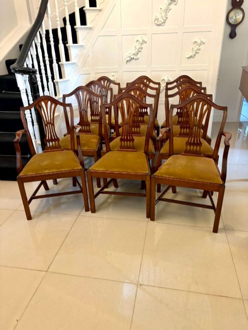 Quality Set of 12 Antique Mahogany Hepplewhite Style Dining Chairs