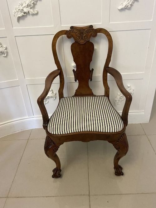 fig 1. A set of twelve Victorian burr walnut dining chairs with carved splat backs, cabriole legs, and black and white striped upholstered seats.