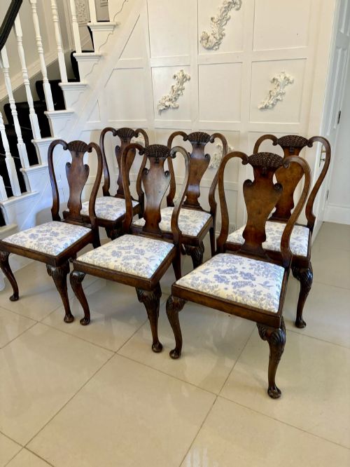 Superb Quality Set of 6 Antique Victorian Carved Burr Walnut Dining Chairs