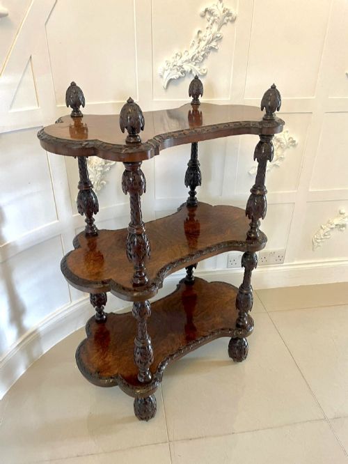 Rare Irish Antique Victorian Exhibition Quality Freestanding Burr Walnut Carved Whatnot