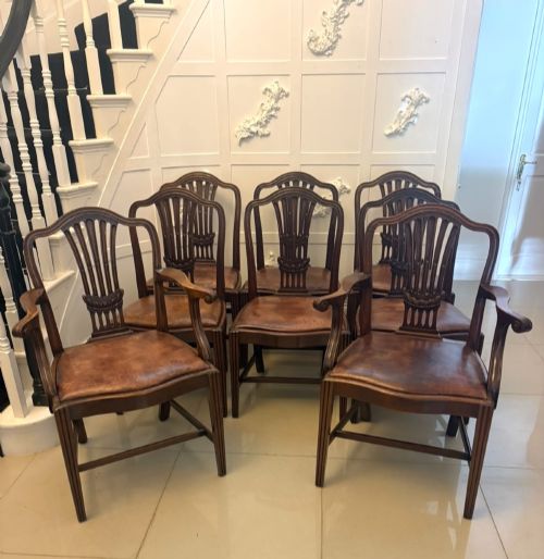 Antique Set of 8 Victorian Mahogany Shield Back Hepplewhite Style Dining Chairs Carvers Original Tan Leather