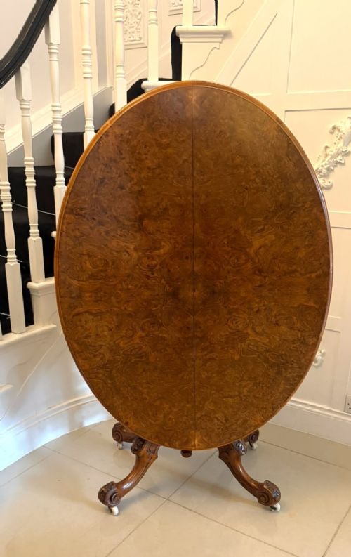 An antique Victorian oval tilt-top table made of burr walnut with a four-star carved pedestal base and white ceramic castors, shown with the tabletop tilted vertically.