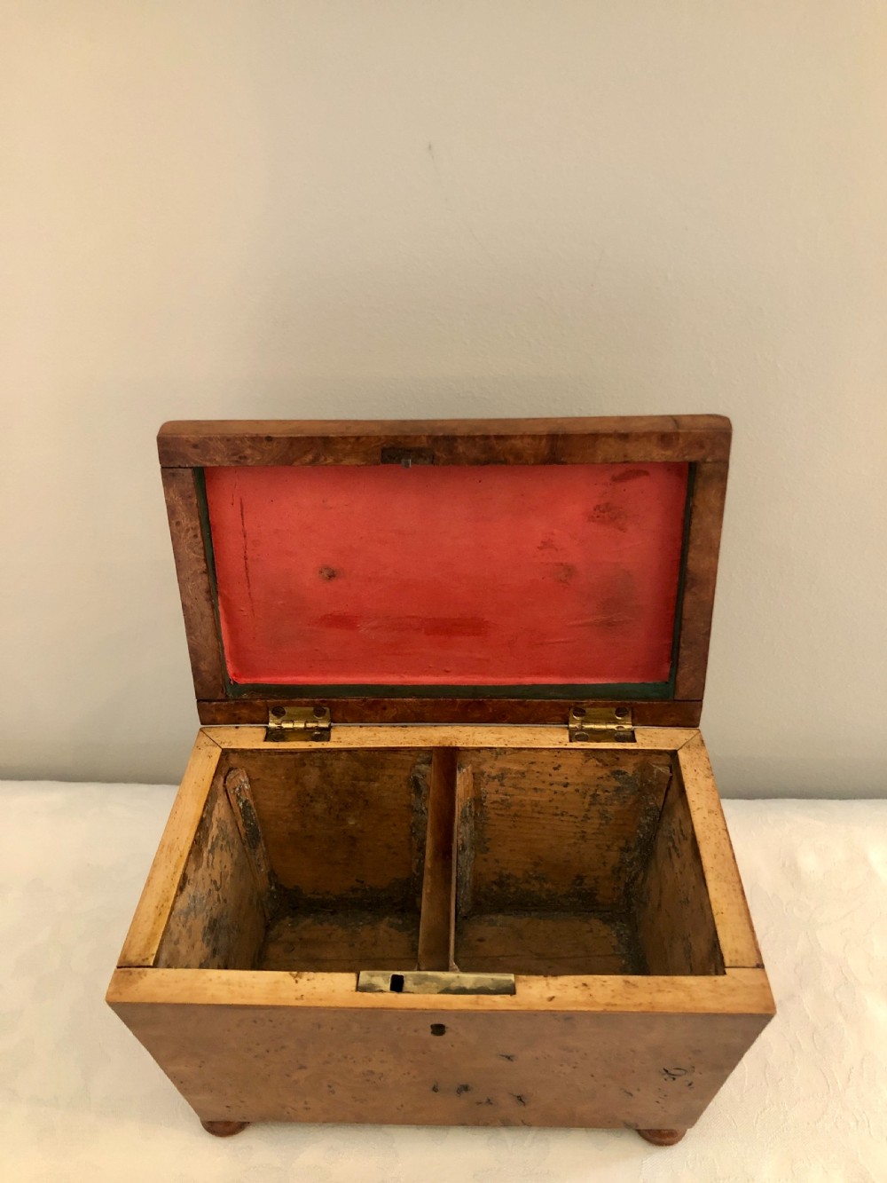  Antique Regency Sarcophagus Shaped  Burr Elm Tea Caddy View VI