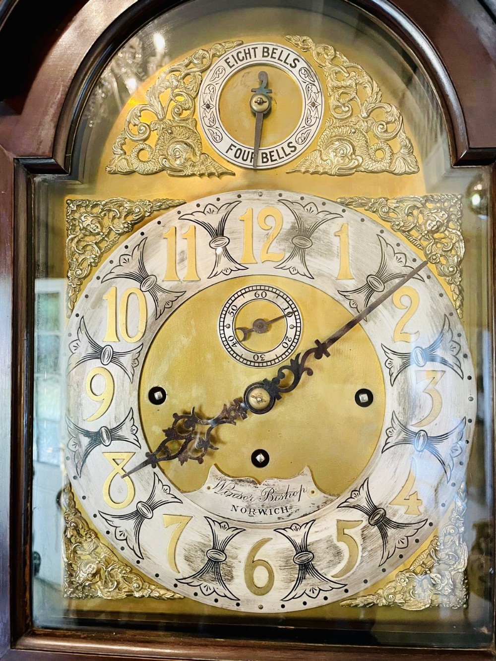 Alternate View