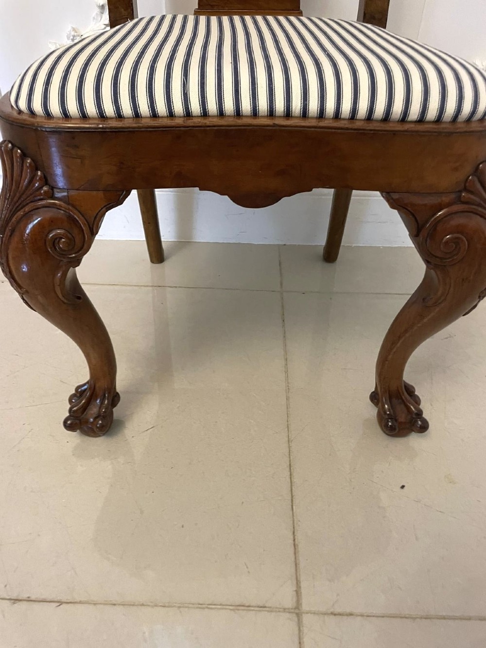 A set of twelve Victorian burr walnut dining chairs with carved splat backs, cabriole legs, and black and white striped upholstered seats. View V