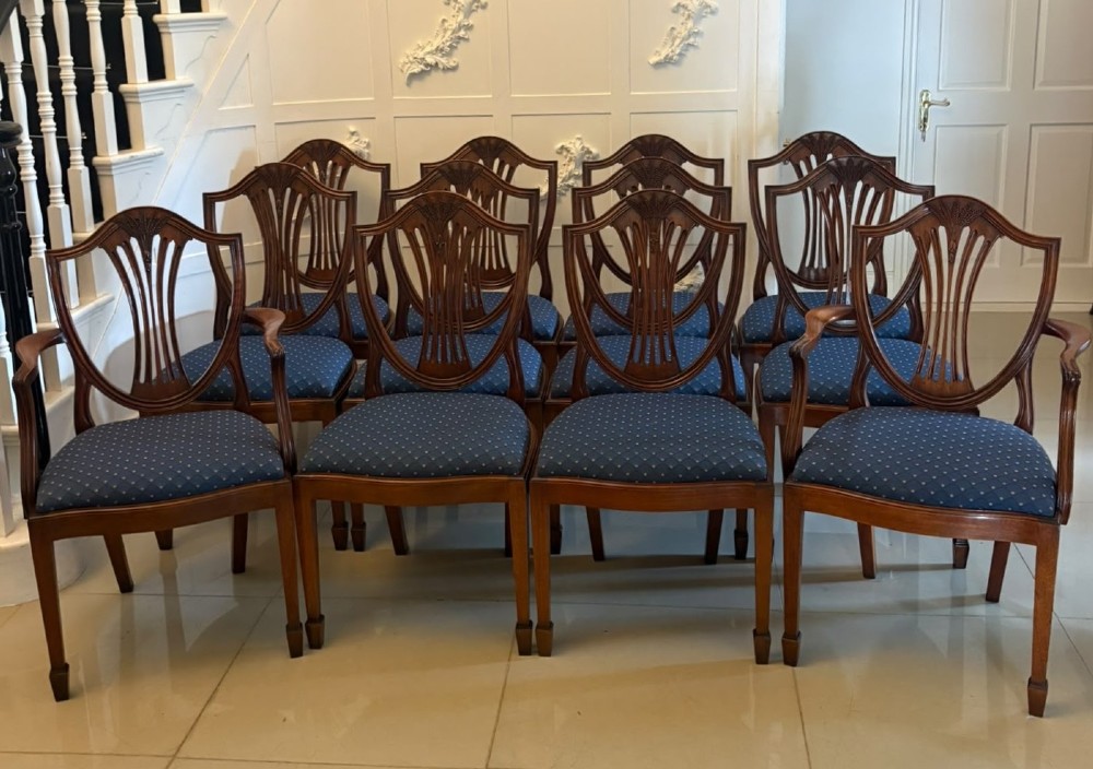A set of twelve mahogany shield back dining chairs featuring carved backrest splats, square tapered legs, and blue patterned upholstered seats.