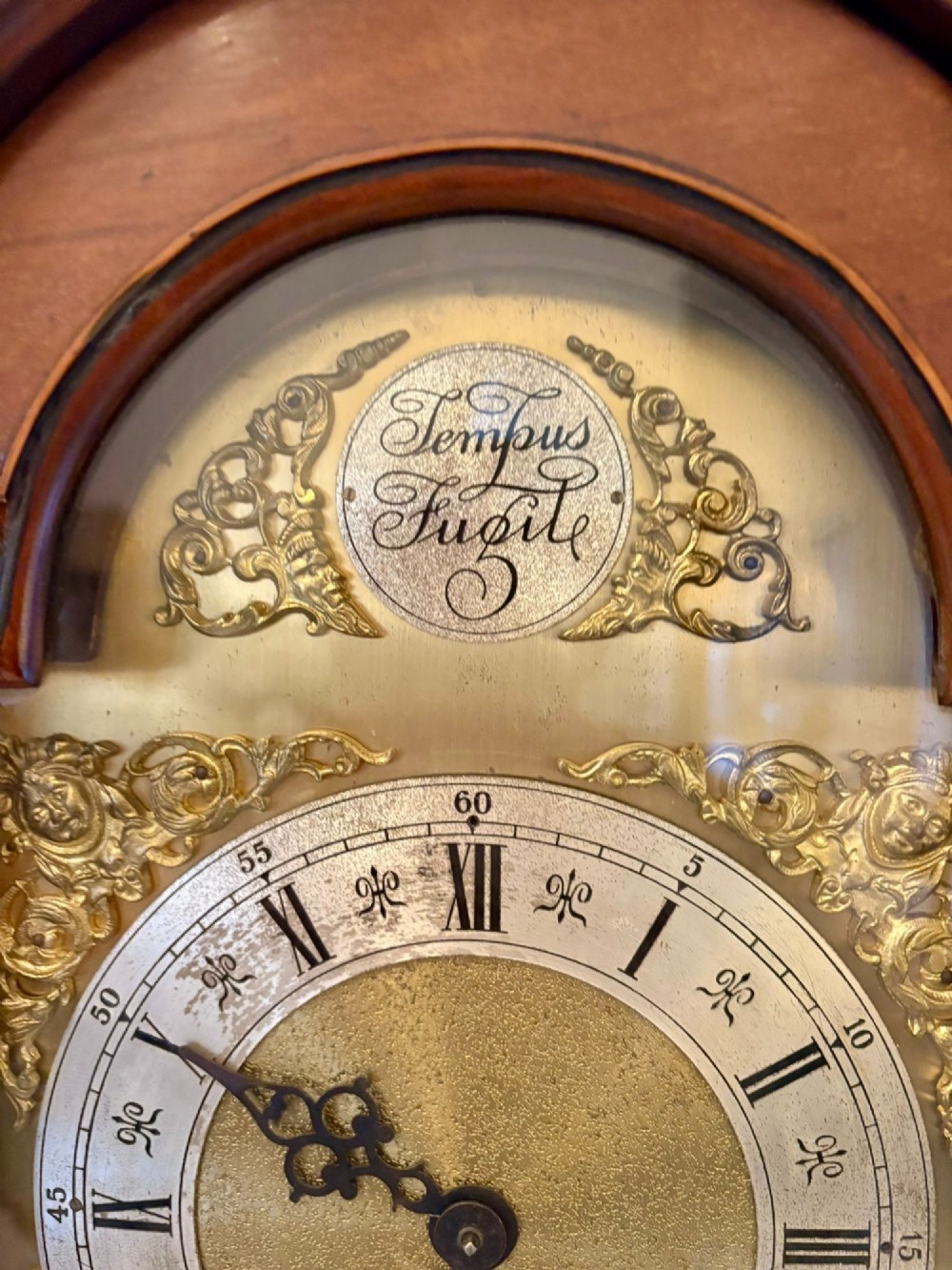 An Edwardian mahogany longcase clock with satinwood urn inlay on the door and a brass dial with Tempus Fugit inscription. View V