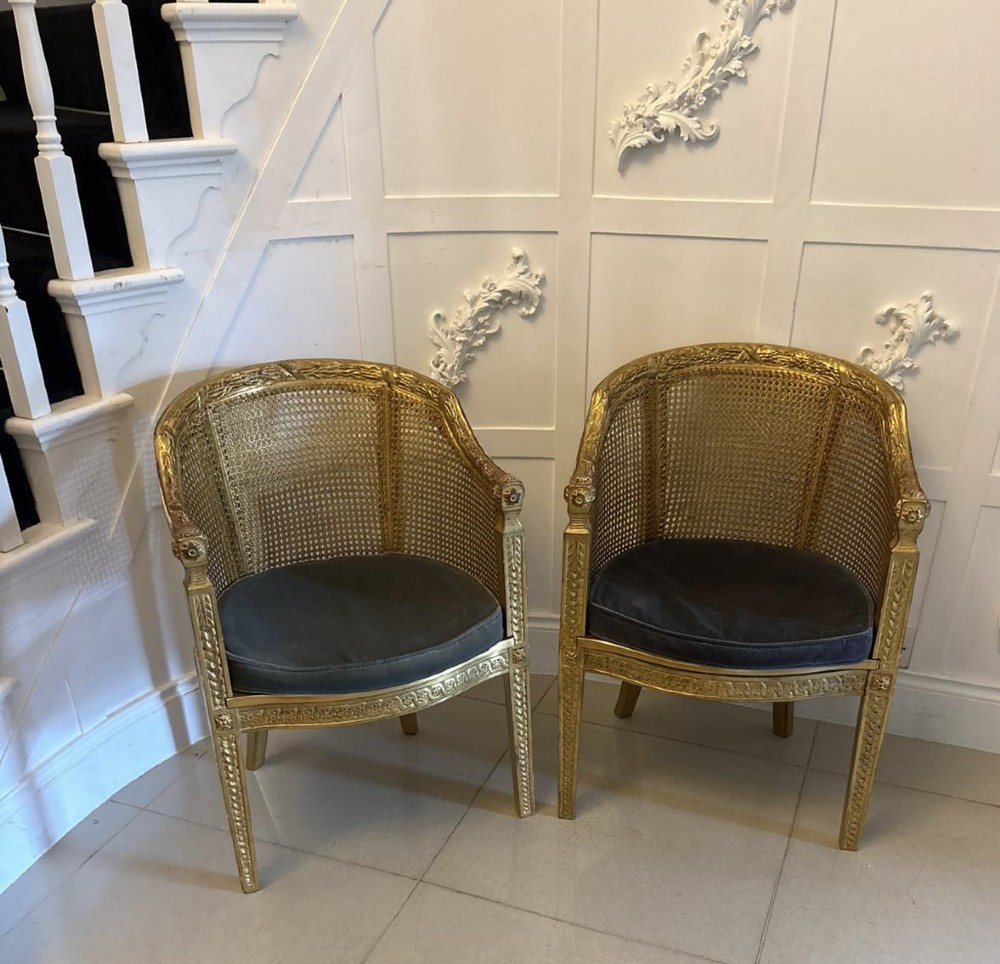 A pair of French Louis XVI style carved giltwood tub armchairs featuring curved caned backs and dark blue velvet seat cushions.