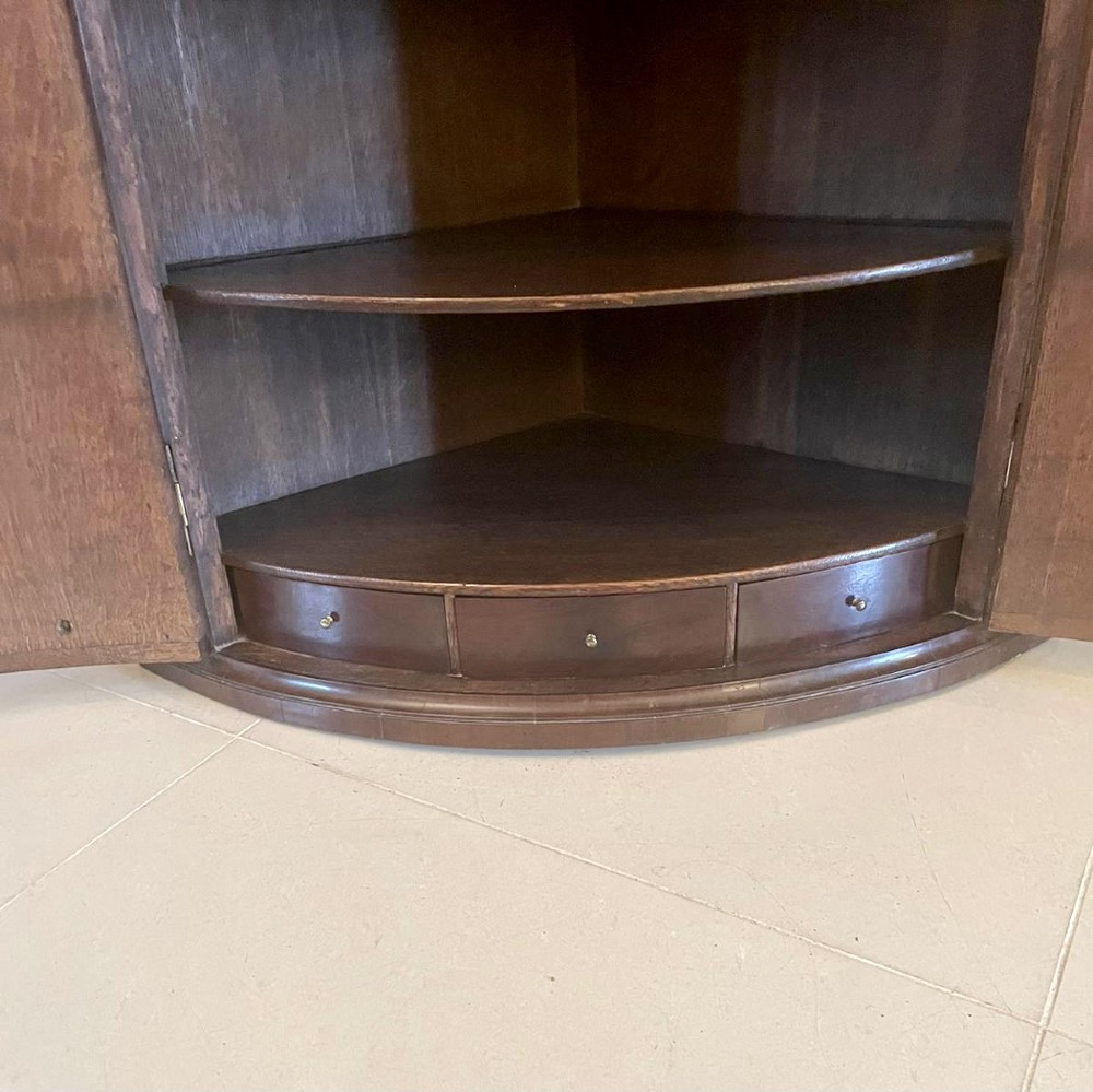 An 18th-century George III bow-fronted corner cabinet crafted from plum pudding mahogany with brass H-hinges. View VI