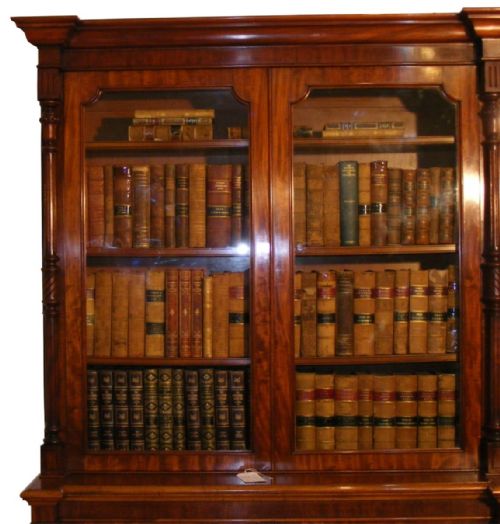 A 19TH CENTURY MAHOGANY LIBRARY BOOKCASE - ADDITIONAL PHOTO 8