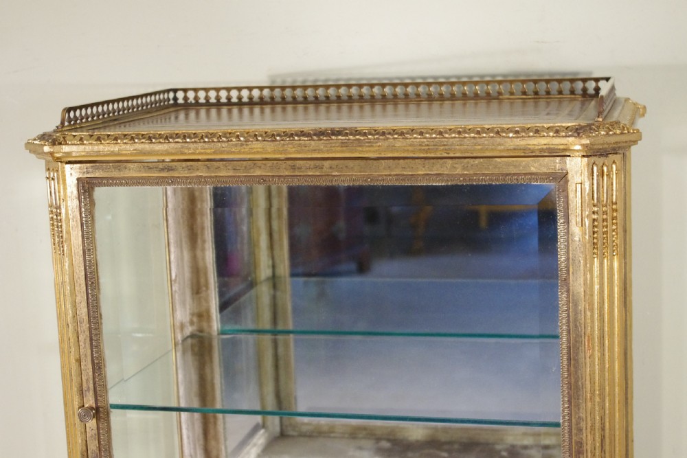 French Gilt Vitrine/Display Cabinet View IV