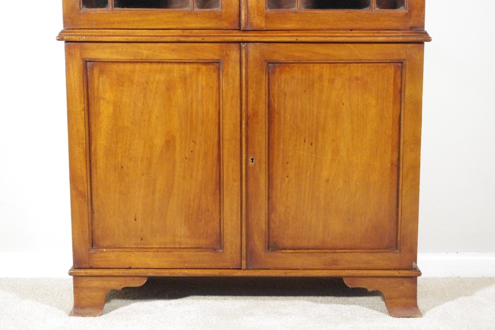 Small Edwardian Mahogany Bookcase View IV