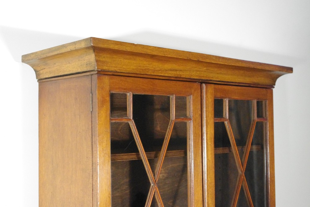 Small Edwardian Mahogany Bookcase View V