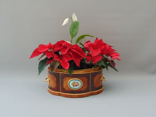 A Tulipwood Table Planter Jardinere