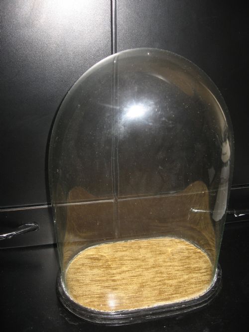 Antique Glass Dome