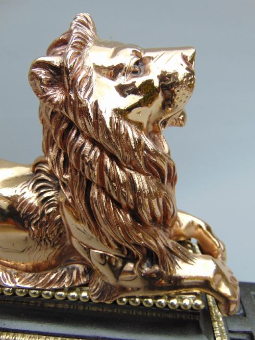 A  Quality Cast Lion Fender