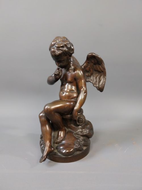 Bronze Winged Cupid