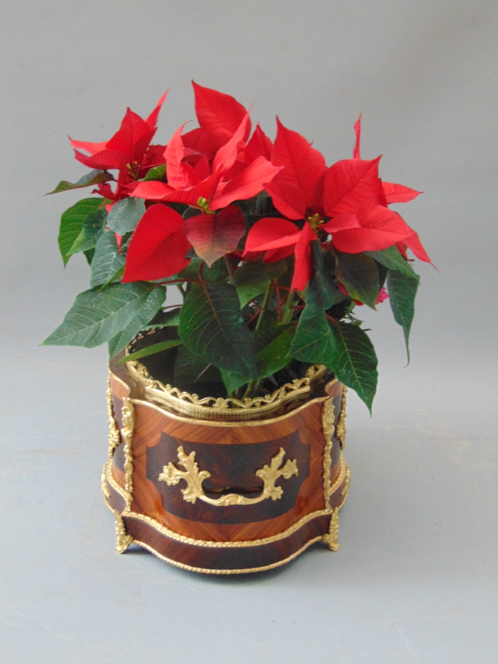 A quality Table Planter Jardinere  View V