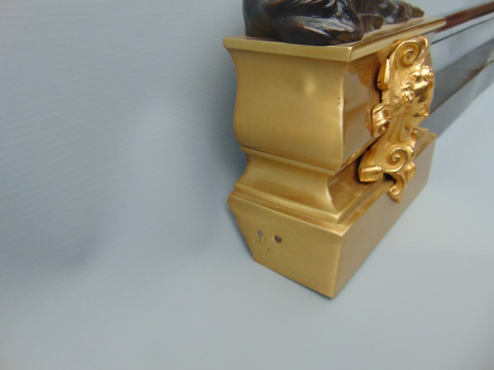 A Bronze and Gilt Fender  View V