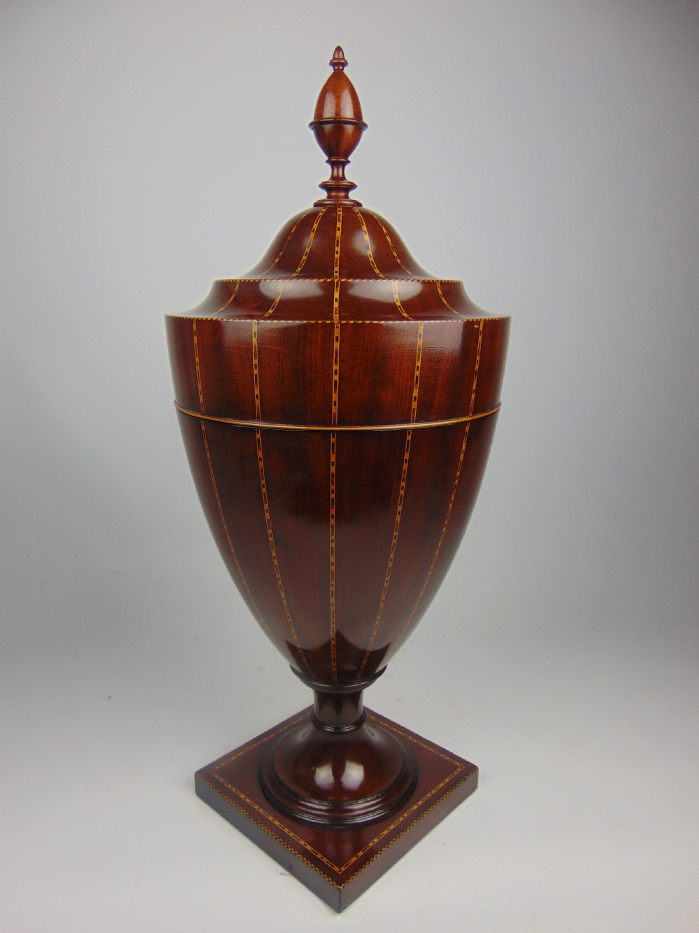 A rare Georgian Mahogany Cutlery Urn  View II