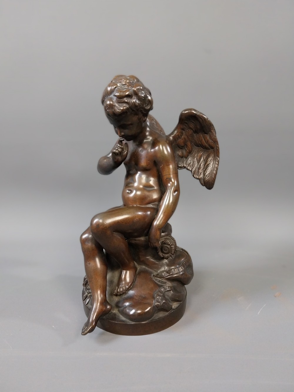 Bronze winged cupid