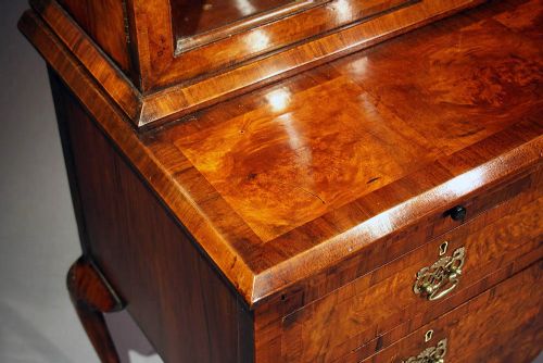 fig 6. Antique Walnut Double Domed Bookcase