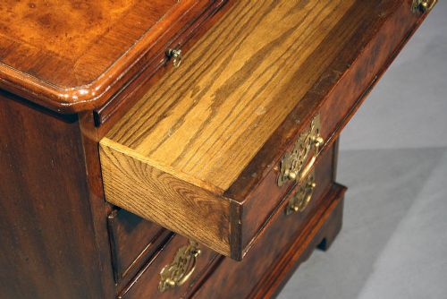 fig 8. Antique Burr Walnut Chest of Drawers