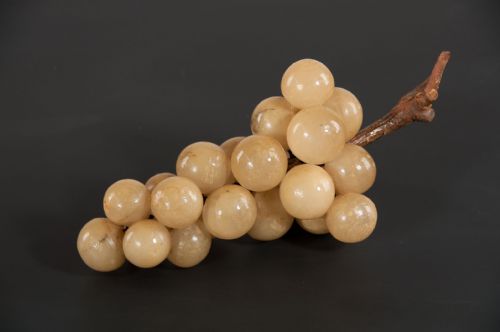 fig 1. Decorative Bunch of Alabaster Grapes On Vine