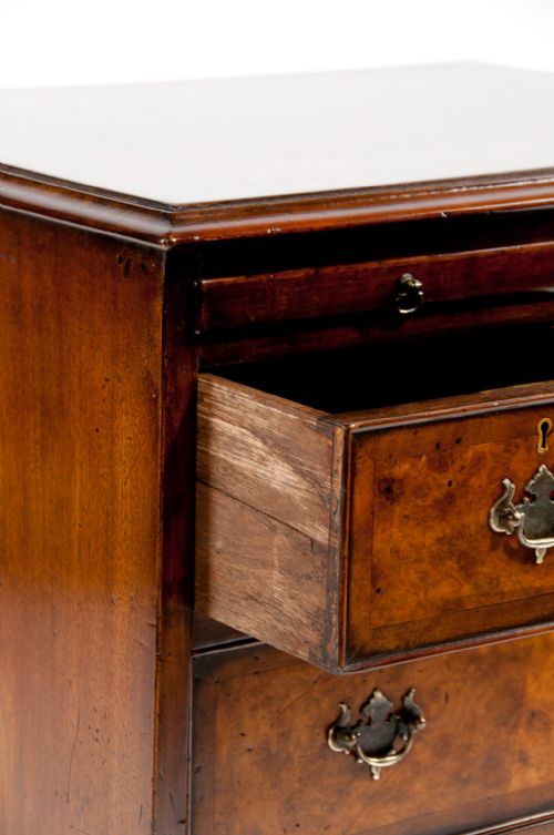 fig 3. Antique Burr Walnut Chest of Drawers