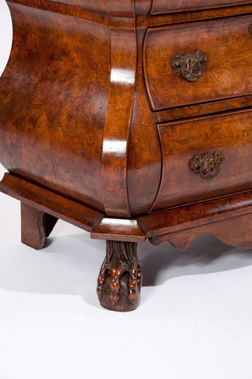 fig 2. Fantastic Burr Elm Dutch Bombay Bureau