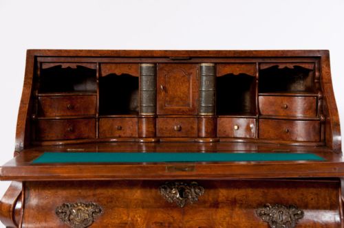 fig 3. Fantastic Burr Elm Dutch Bombay Bureau