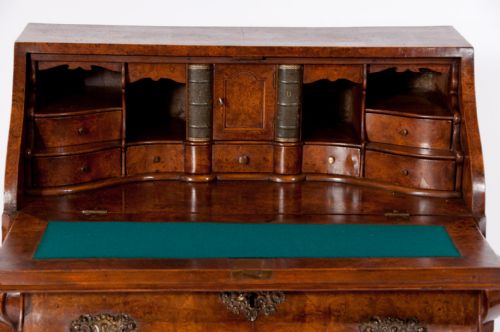 fig 4. Fantastic Burr Elm Dutch Bombay Bureau