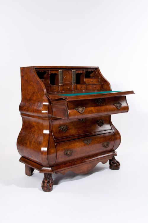 fig 5. Fantastic Burr Elm Dutch Bombay Bureau