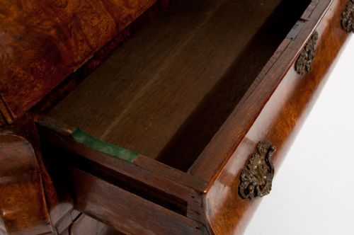 fig 6. Fantastic Burr Elm Dutch Bombay Bureau