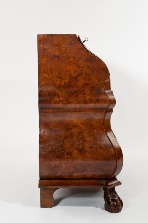 fig 8. Fantastic Burr Elm Dutch Bombay Bureau