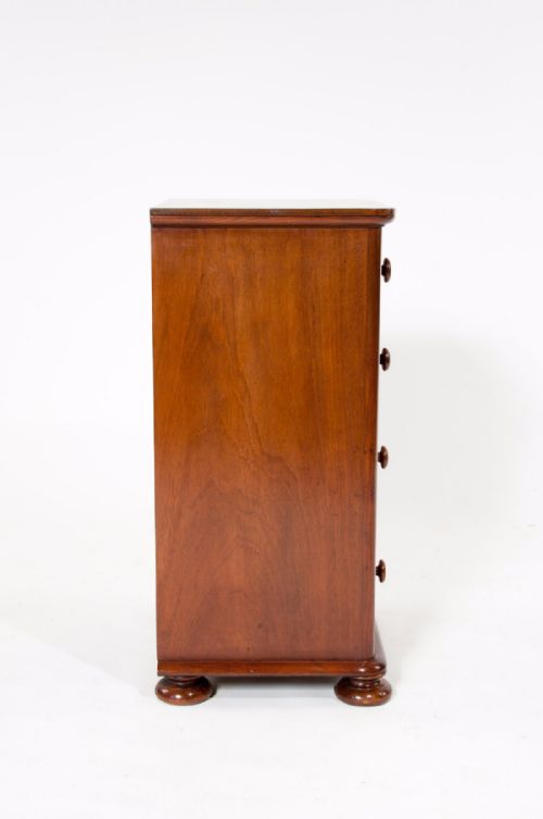 fig 6. A Fine Pair of 19th Century Mahogany Chests