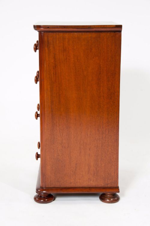 fig 8. A Fine Pair of 19th Century Mahogany Chests