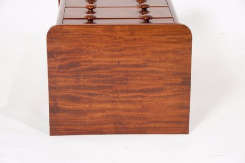 fig 9. A Fine Pair of 19th Century Mahogany Chests