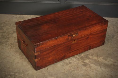 fig 1. Camphor Wood Trunk