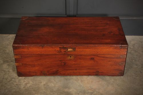 fig 2. Camphor Wood Trunk